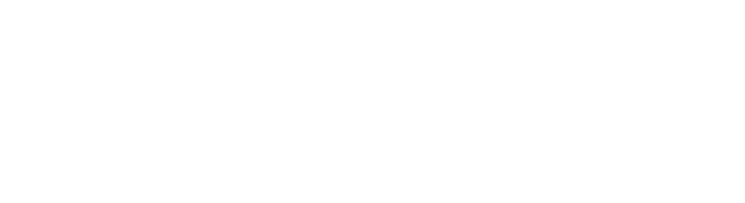 Platinium Media Logo White Cropped